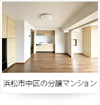 浜松市中央区の分譲マンション