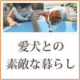 愛犬との素敵な暮らし